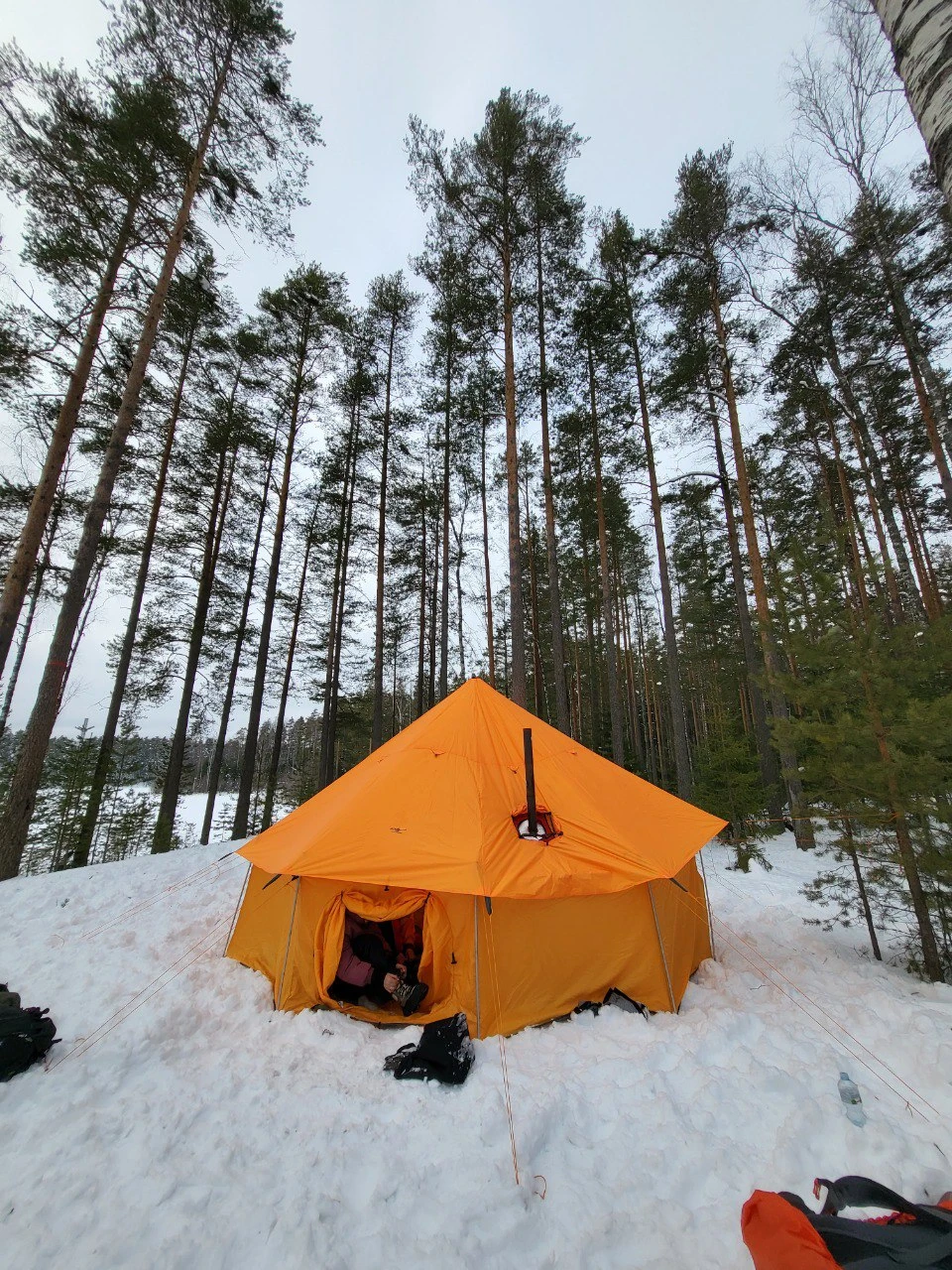 Лед и пламя. Поход с шатром в зимний лес Ленобласти (8/22)