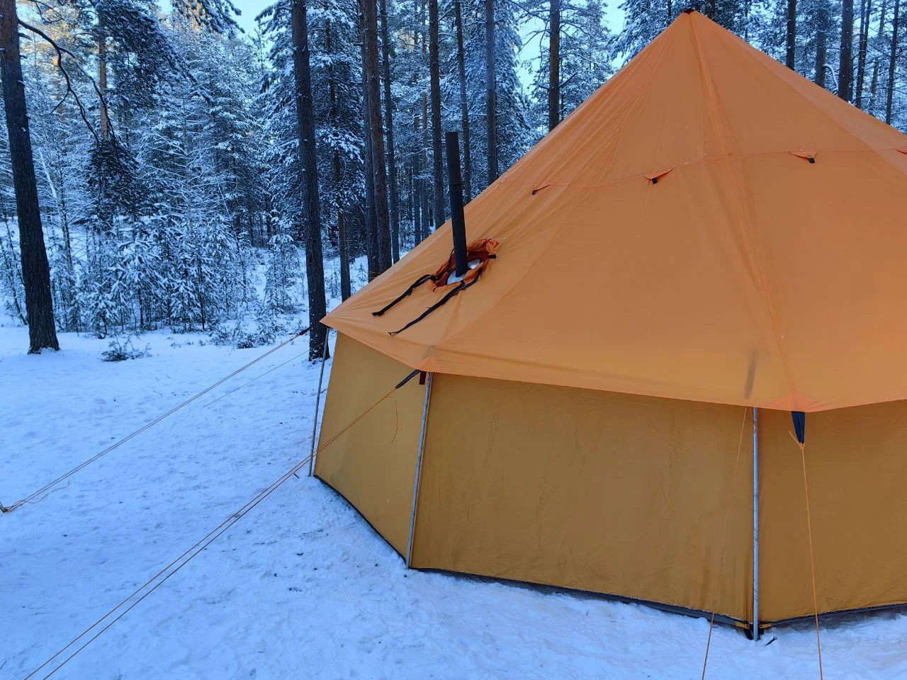 Лед и пламя. Поход с шатром в зимний лес Ленобласти (6/22)