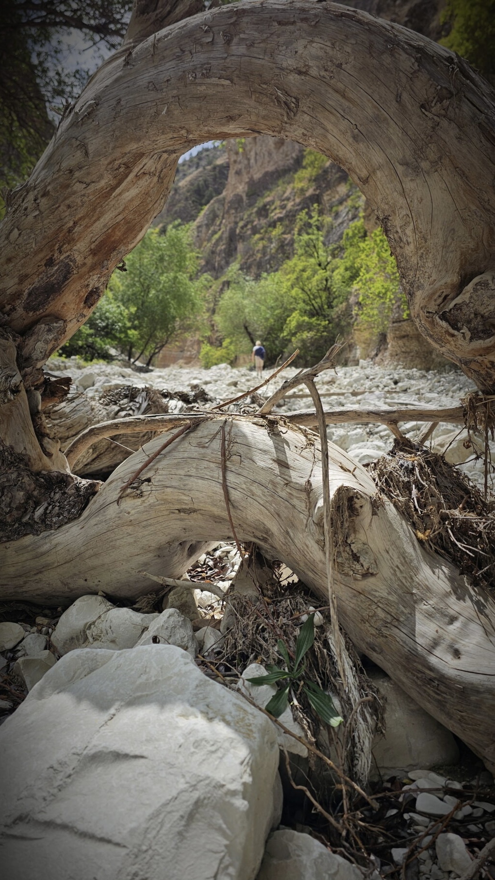 Дагестан. Горная Любовь 2 (12/98)