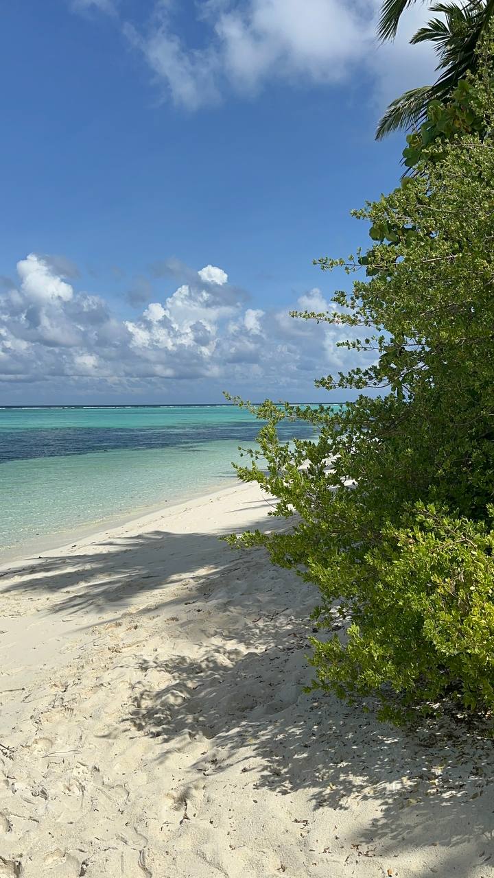 Магические Мальдивы (37/130)