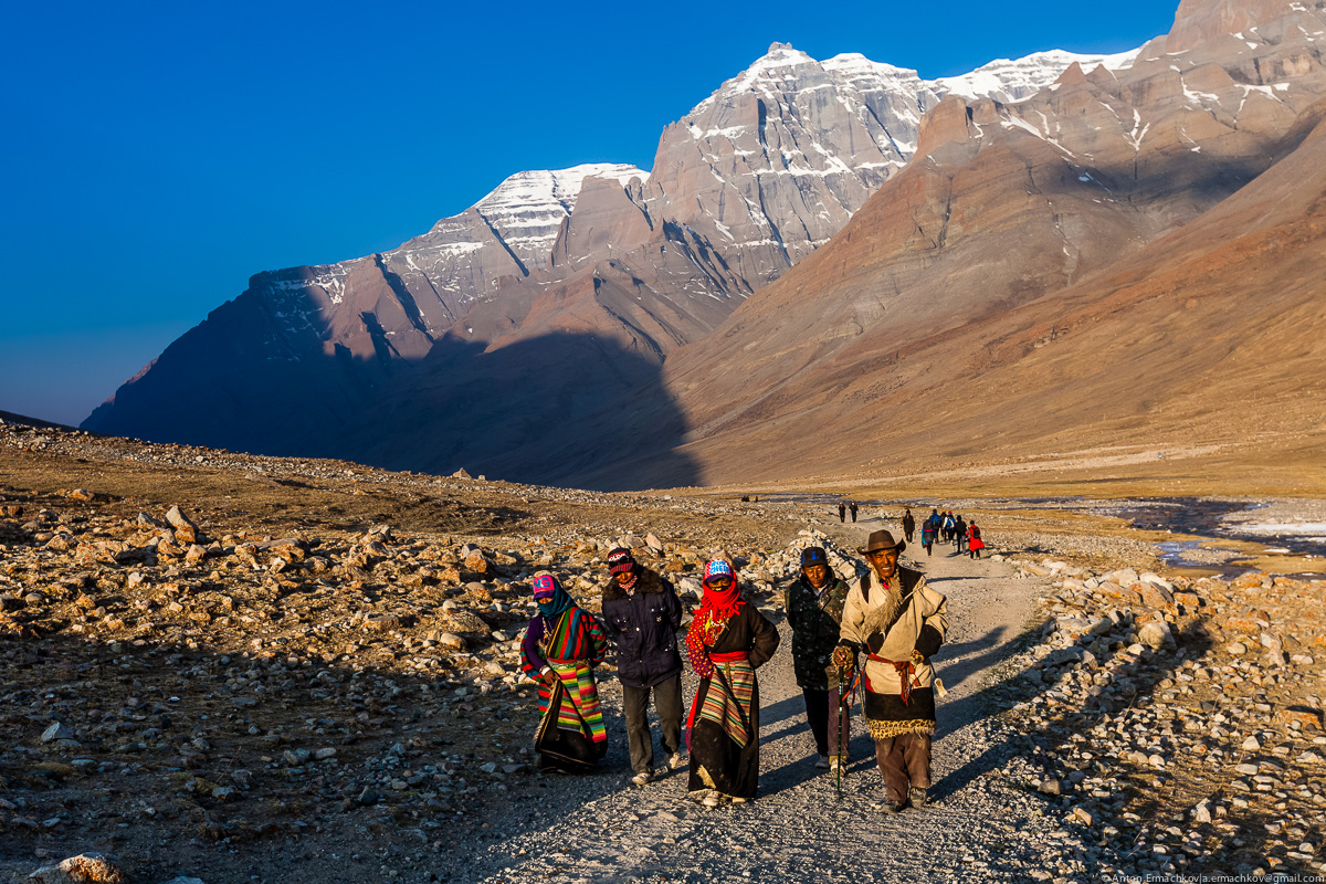 Кора Просветления: Тибет в Год Лошади, где каждый шаг равен тринадцати