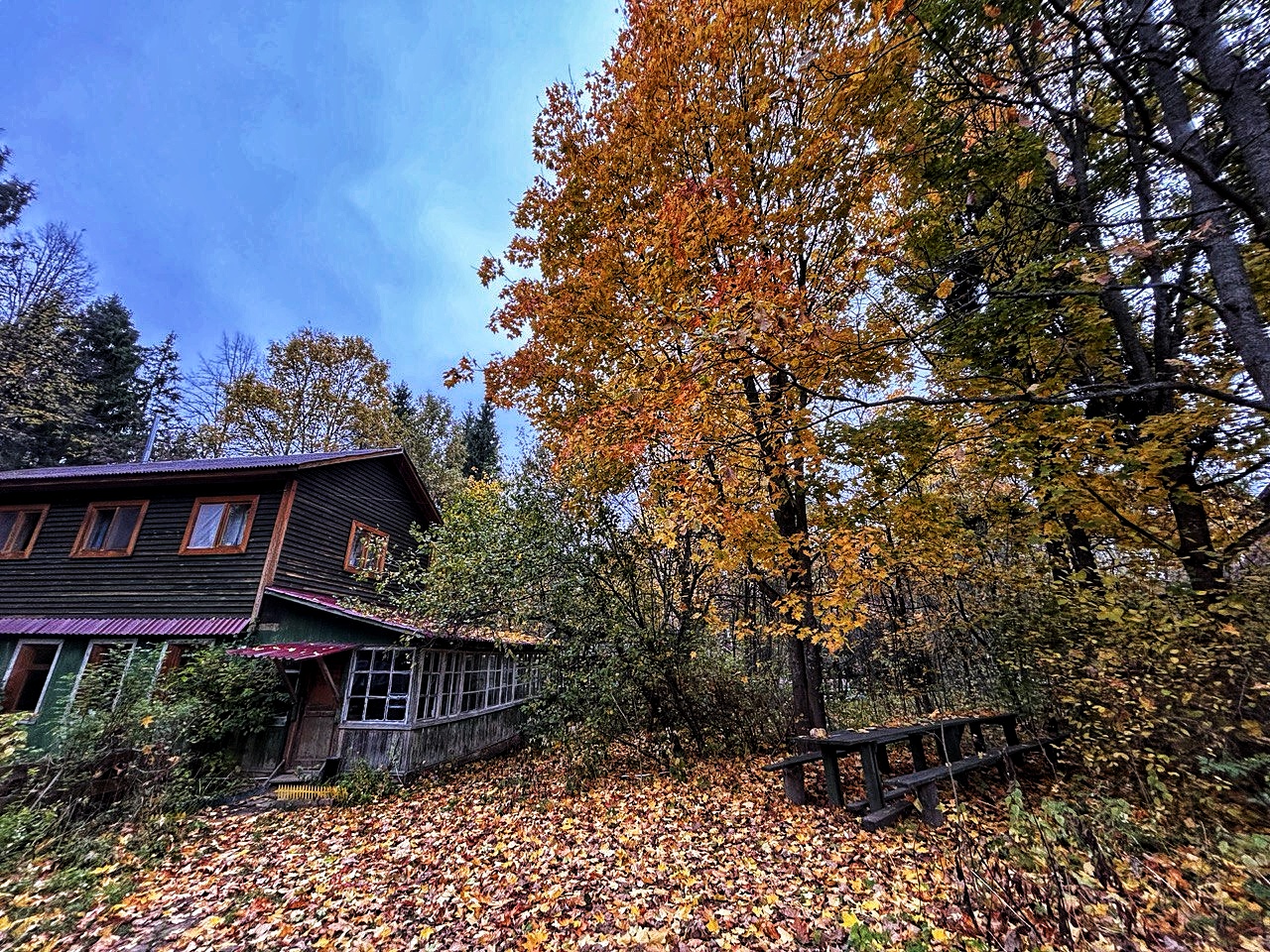 Звенигородский заказник и карьер Сима. Однодневный поход в Подмосковье (26/26)