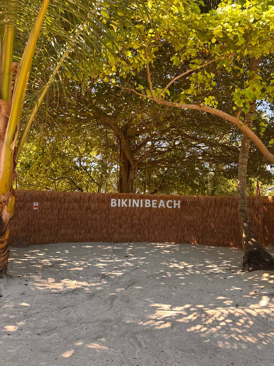 Магические Мальдивы (48/130)