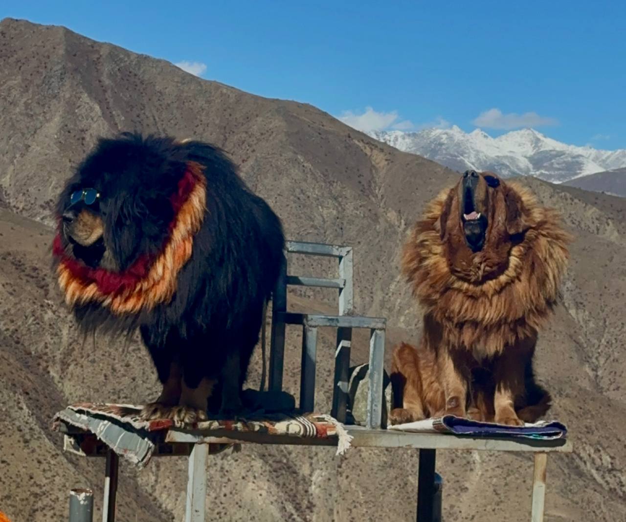 Гедонизм в Тибете: шоппинг и эстетическое наслаждение (11/15)