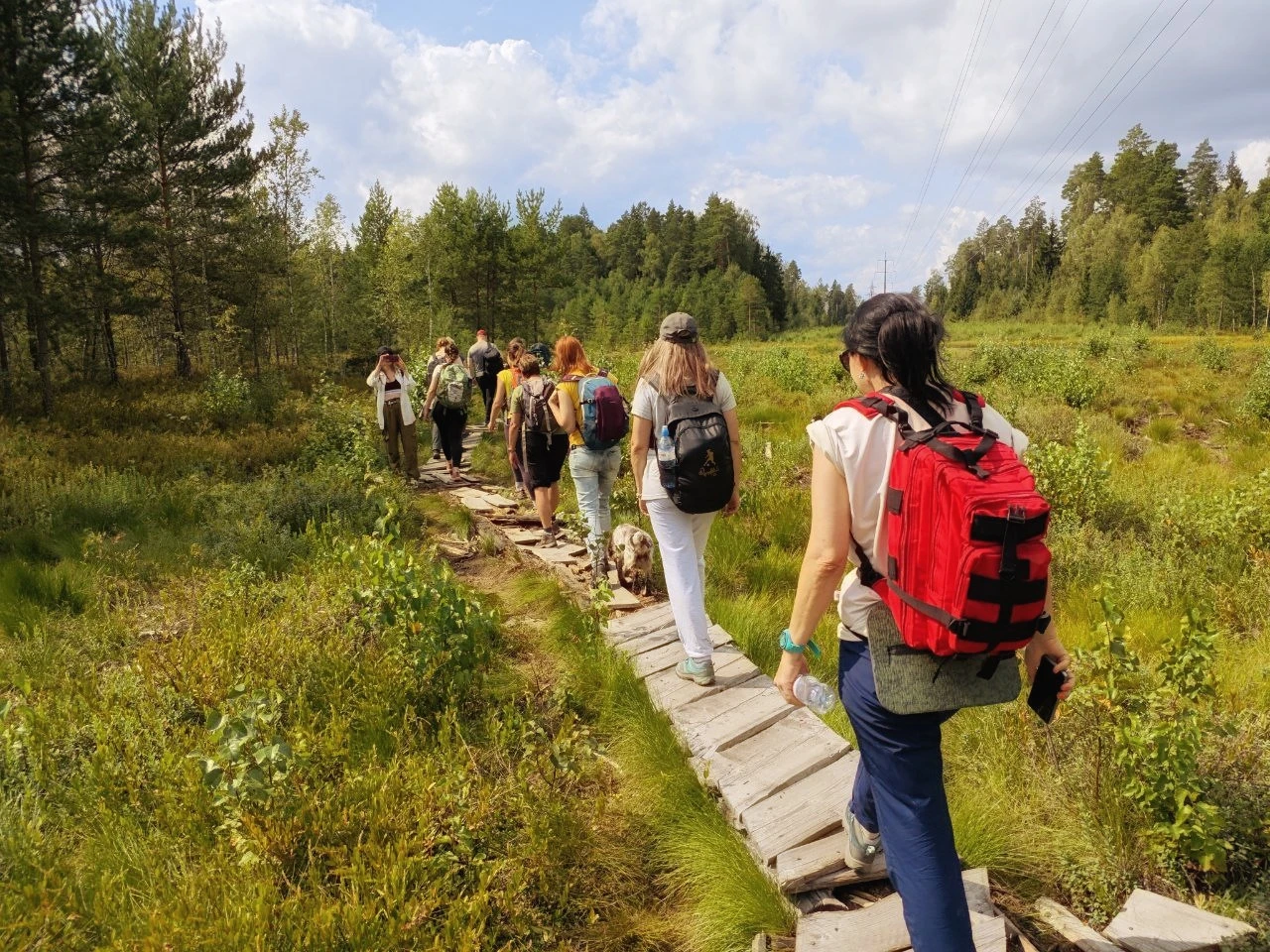 Звенигородский заказник и карьер Сима. Однодневный поход в Подмосковье (18/26)