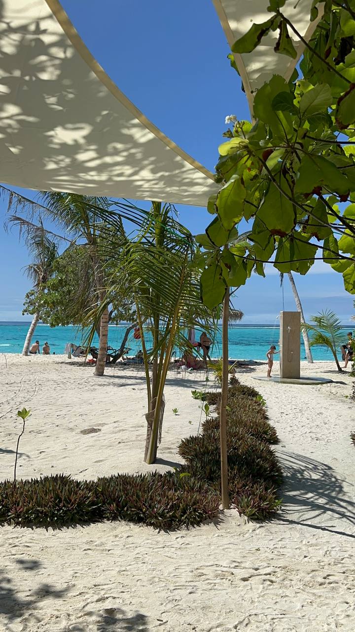 Магические Мальдивы (47/130)