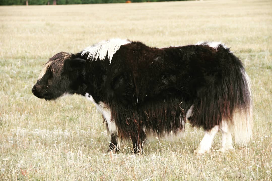 Байкал + Аршан (19/19)