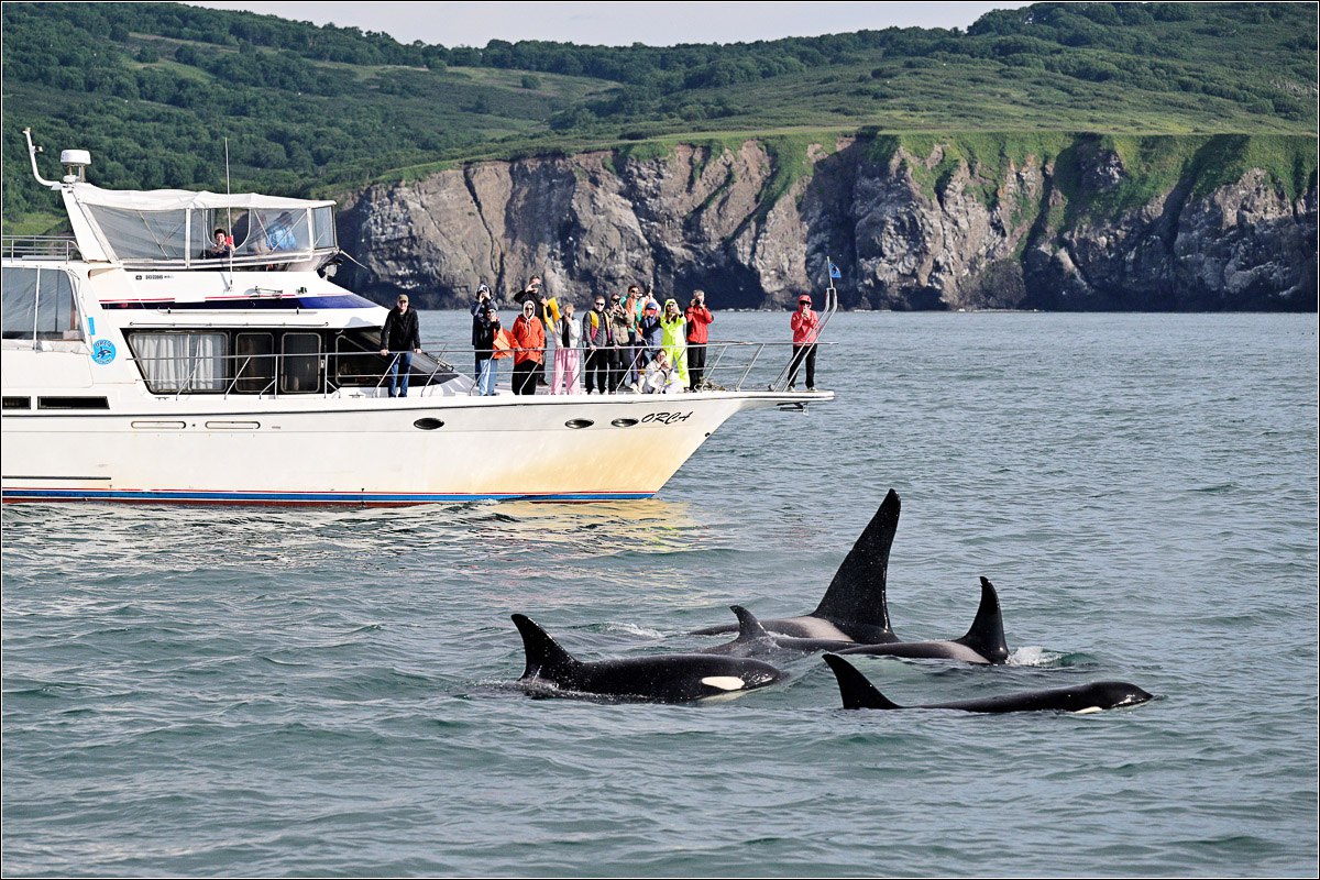 Морская прогулка бухта Русская