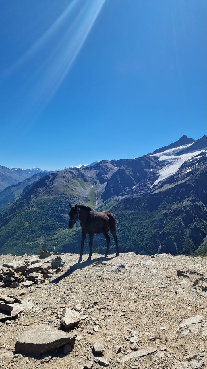 Поход без рюкзаков в Приэльбрусье