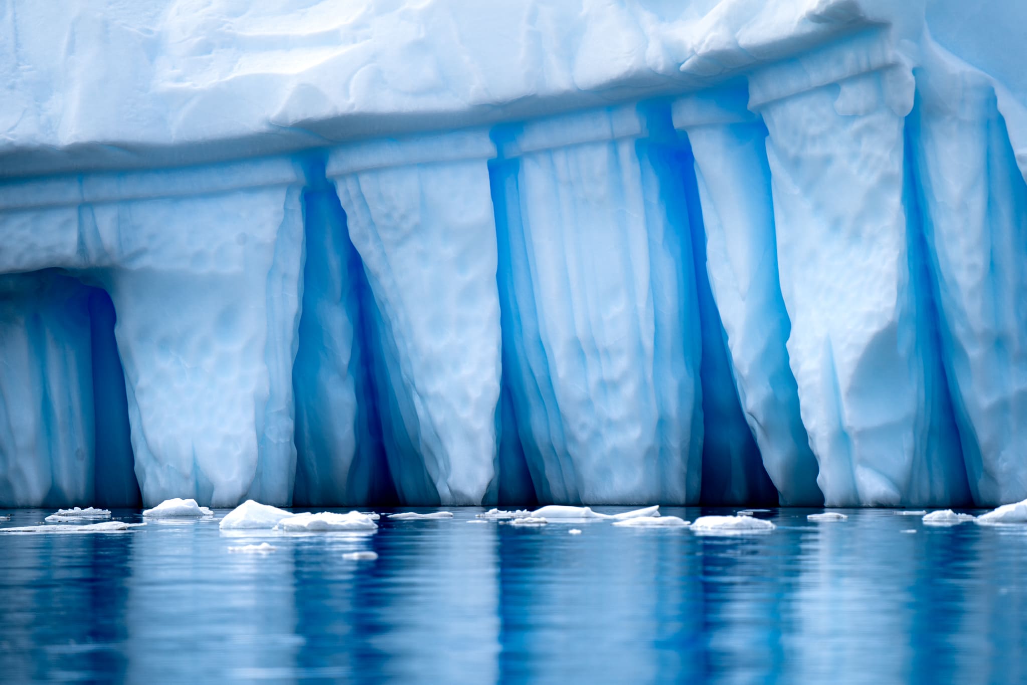 Антарктида: с пересечением пролива Дрейка! Обратно на Самолете. (54/55)