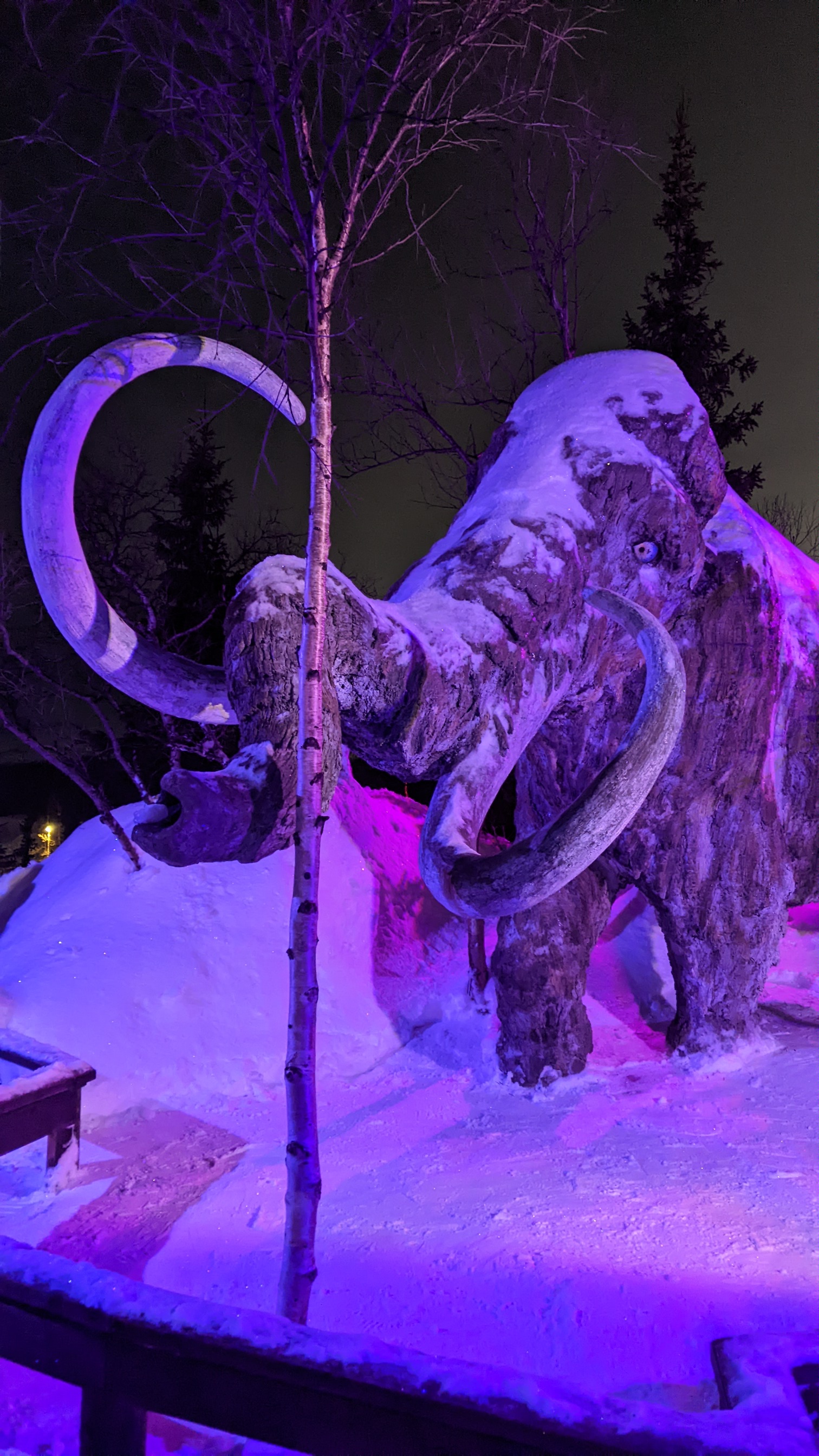 По горнолыжным трассам За Полярным кругом (27/42)