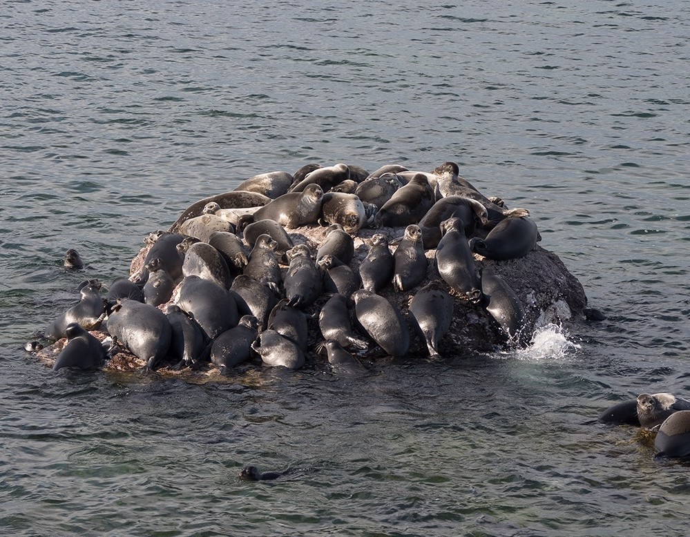 Летний тур на Байкал (12/21)