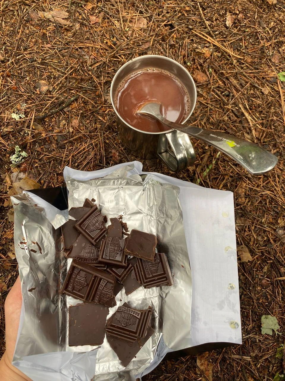 Звенигородский заказник и карьер Сима. Однодневный поход в Подмосковье (24/26)