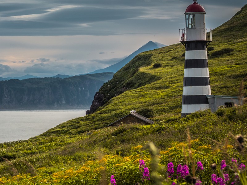 Возвращение домой