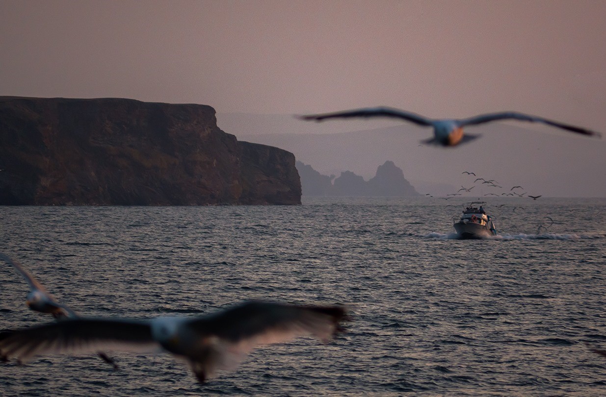 Байкал + Аршан