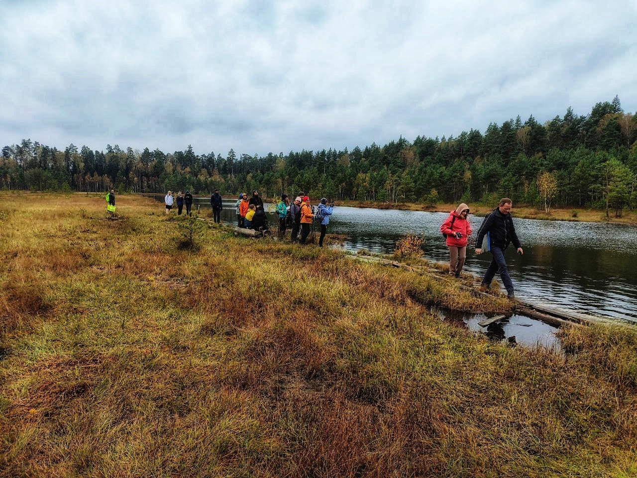 Звенигородский заказник и карьер Сима. Однодневный поход в Подмосковье (14/26)