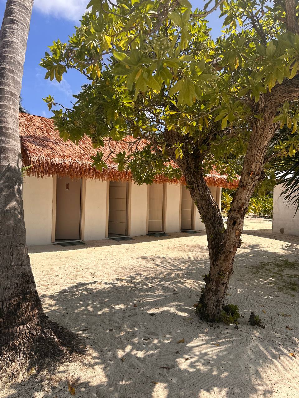 Магические Мальдивы (33/130)