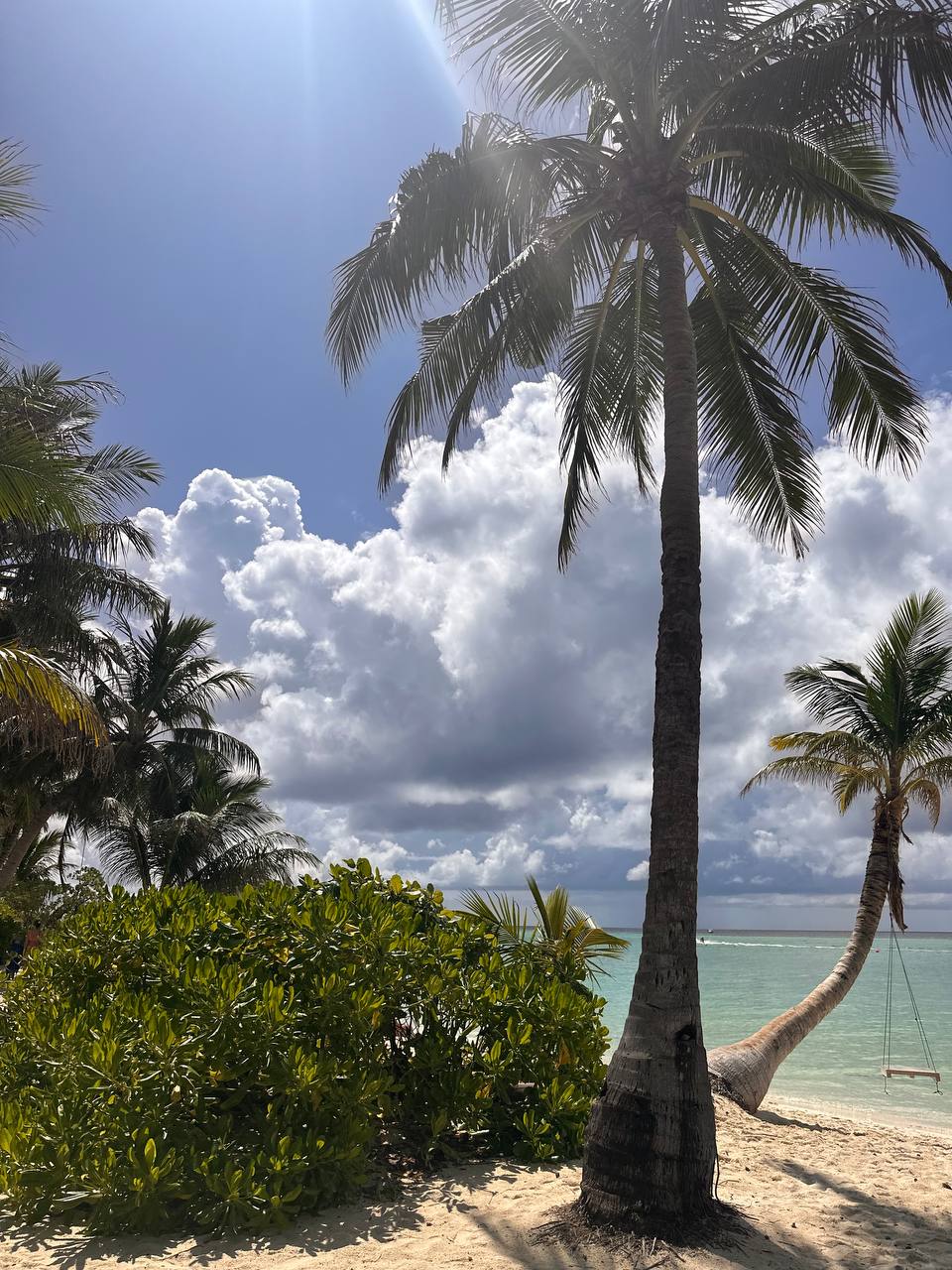 Магические Мальдивы (35/130)