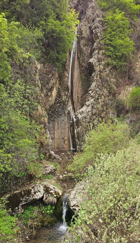 Аромат Индианы Джонса (54/180)