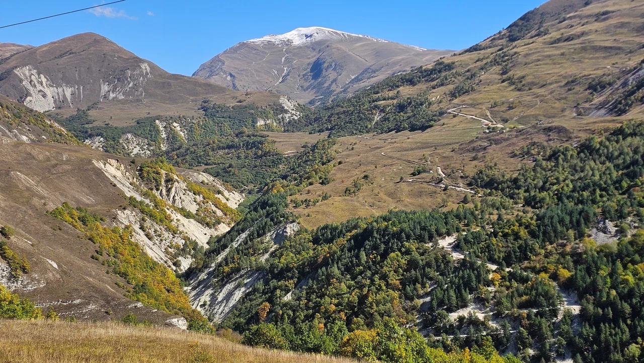 Аромат Индианы Джонса (124/180)