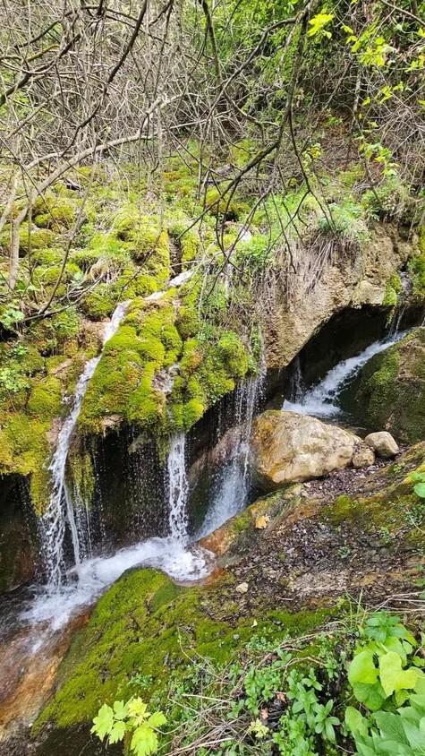 Аромат Индианы Джонса (57/180)