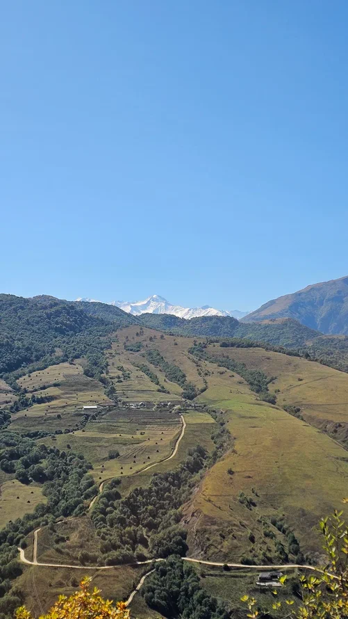 Аромат Индианы Джонса (125/180)