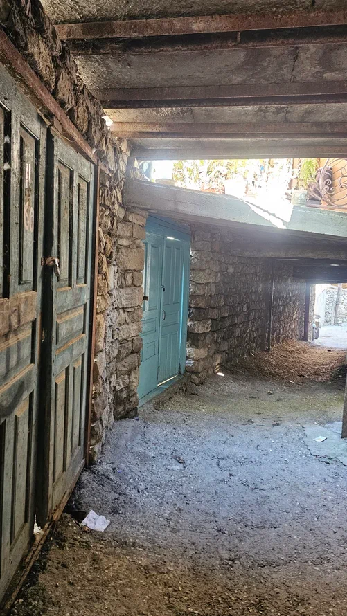 Аромат Индианы Джонса (120/180)