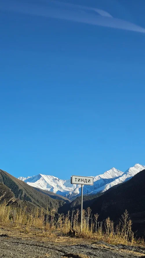 Аромат Индианы Джонса (31/180)