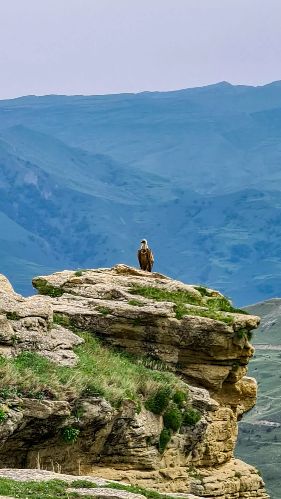 Аромат Индианы Джонса (63/180)