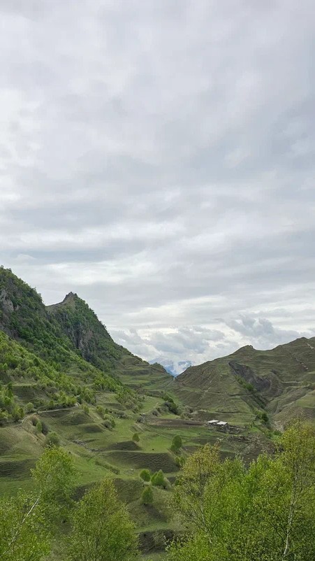 Аромат Индианы Джонса (59/180)