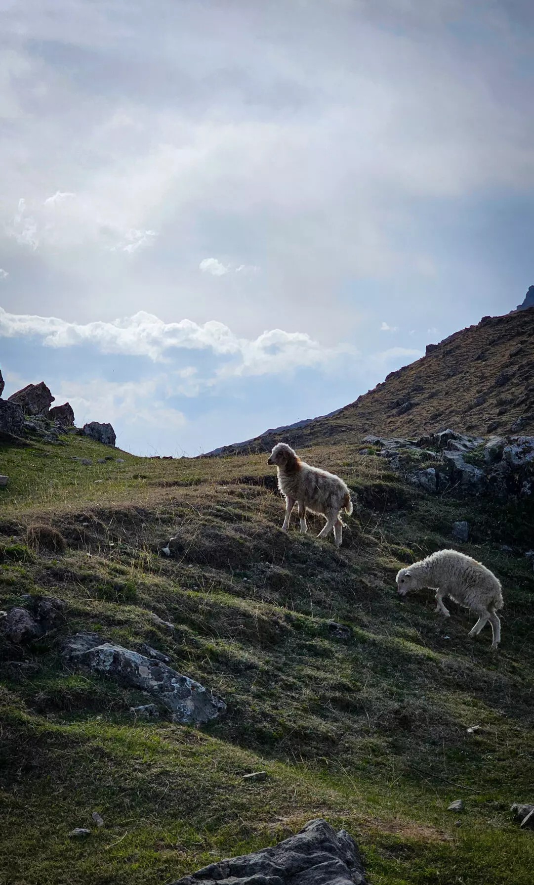 Аромат Индианы Джонса (88/180)
