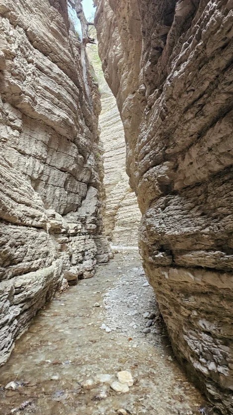 Аромат Индианы Джонса (43/180)