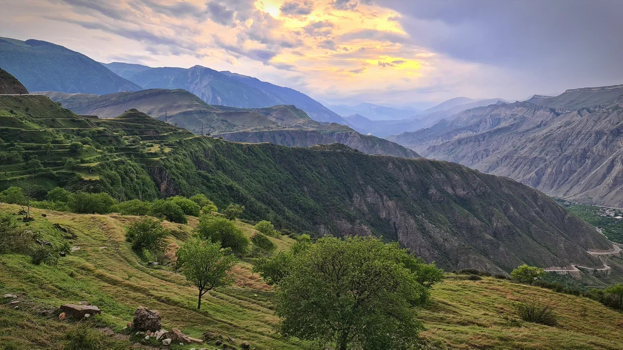 Аромат Индианы Джонса (126/180)