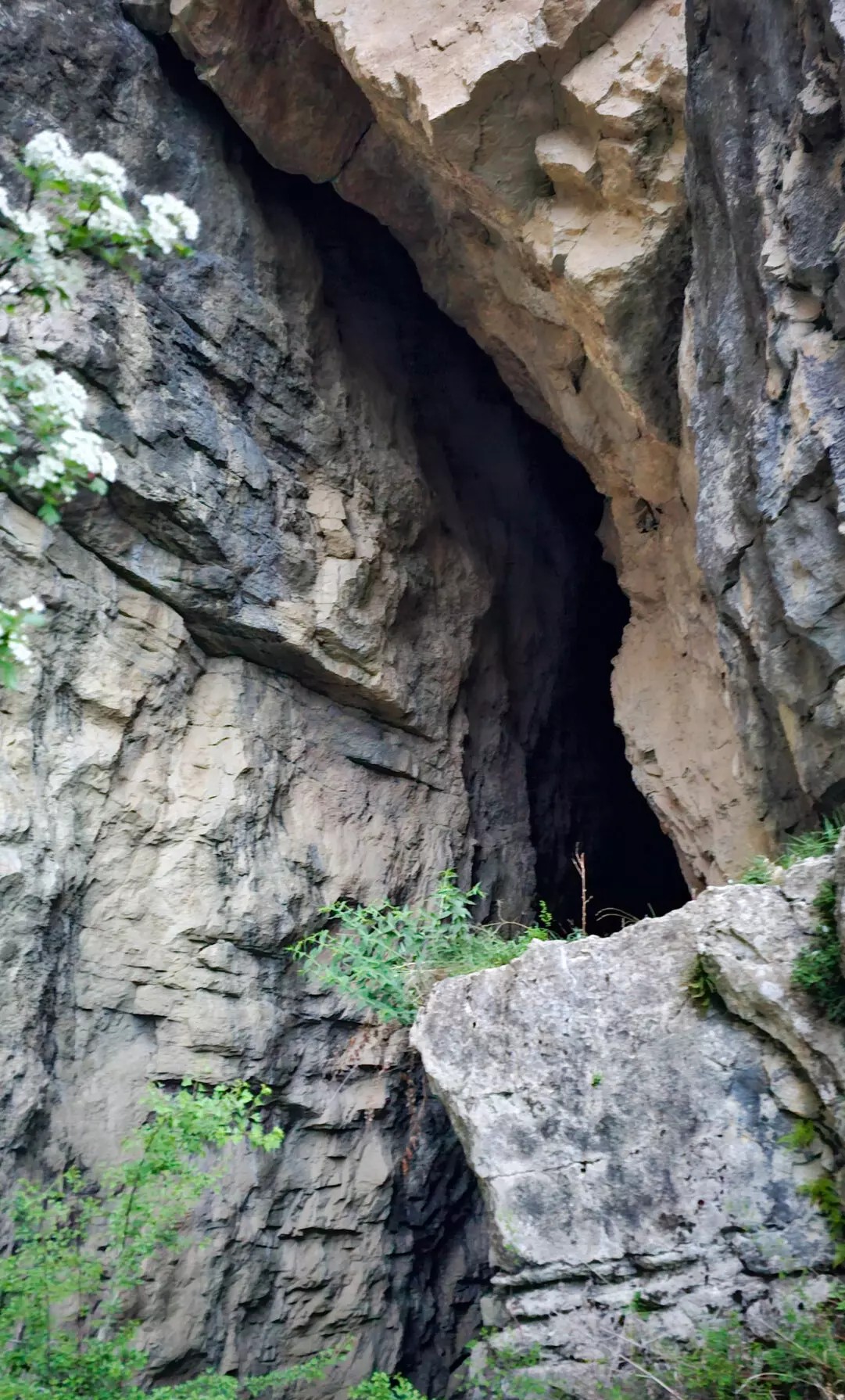 Аромат Индианы Джонса (85/180)