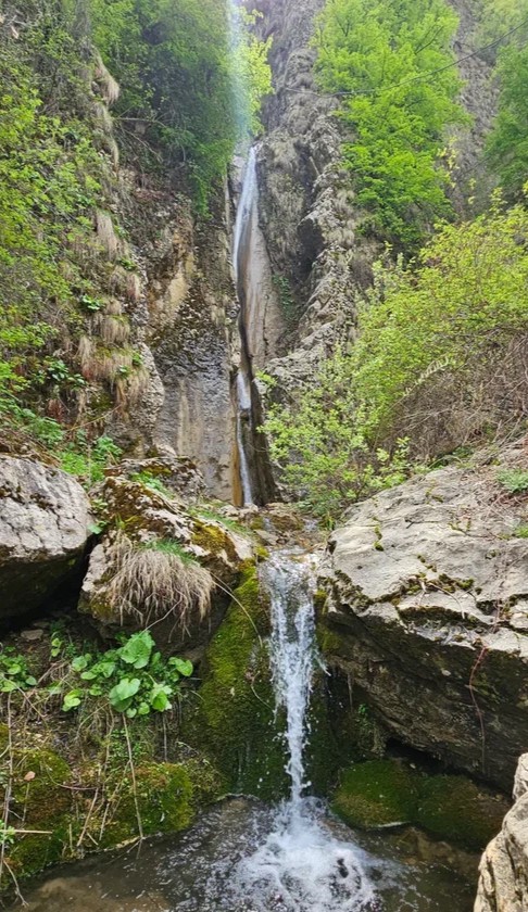 Аромат Индианы Джонса (56/180)