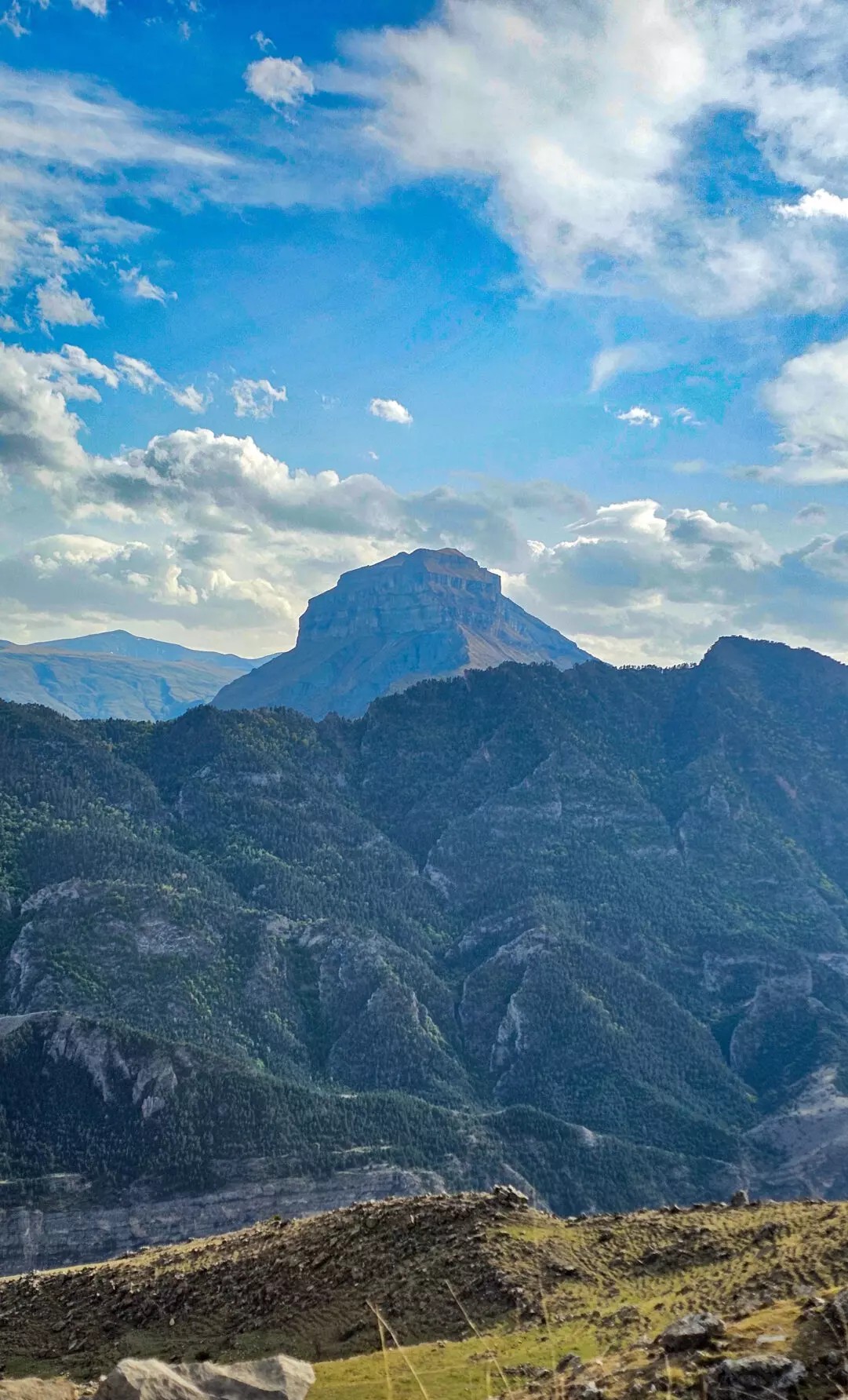 Аромат Индианы Джонса (87/180)