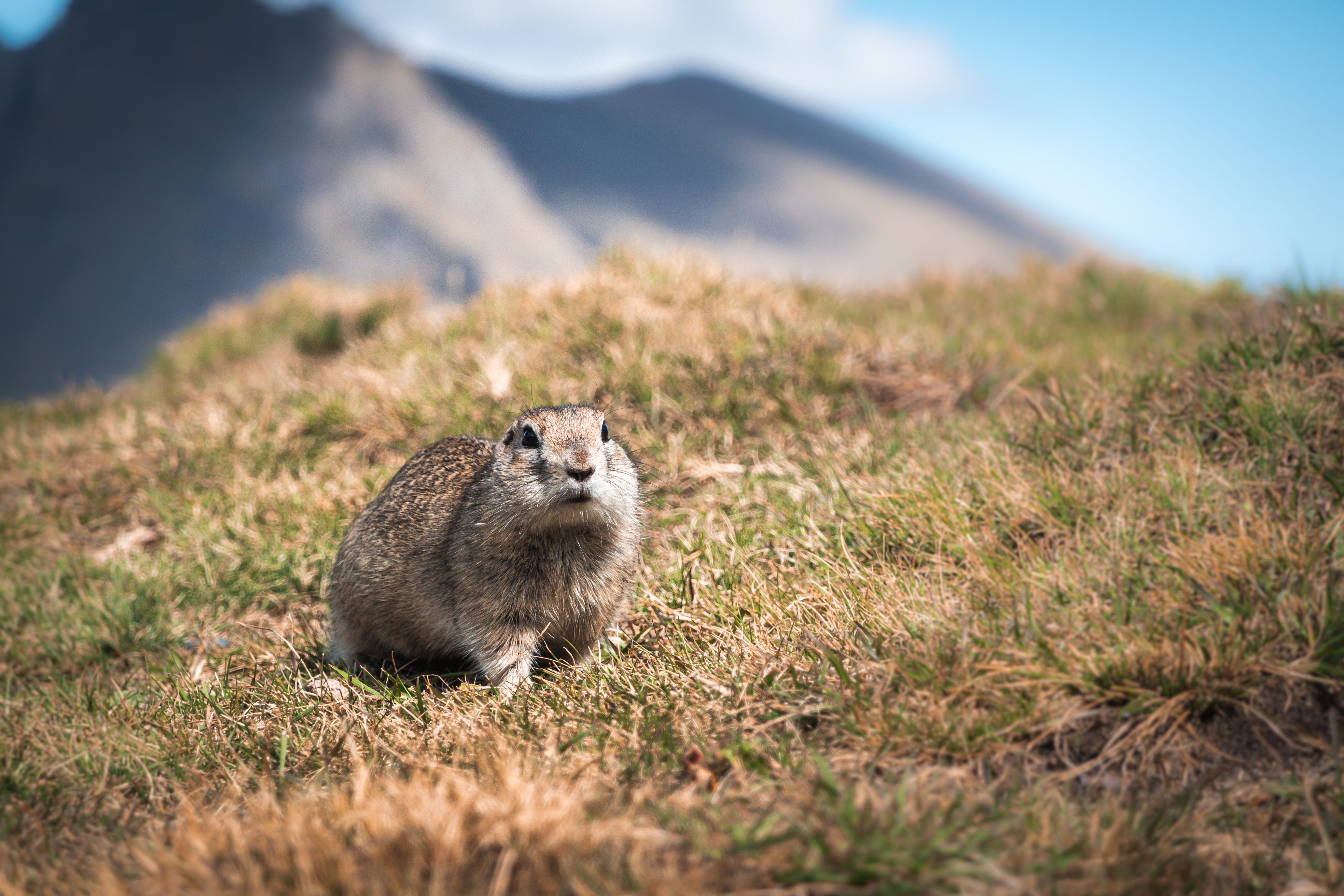 Возвращение домой