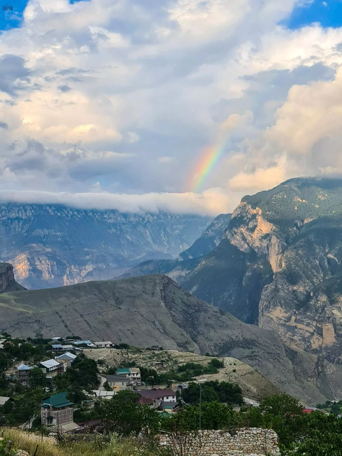 Аромат Индианы Джонса (91/180)