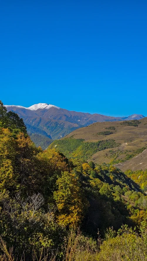 Аромат Индианы Джонса (123/180)