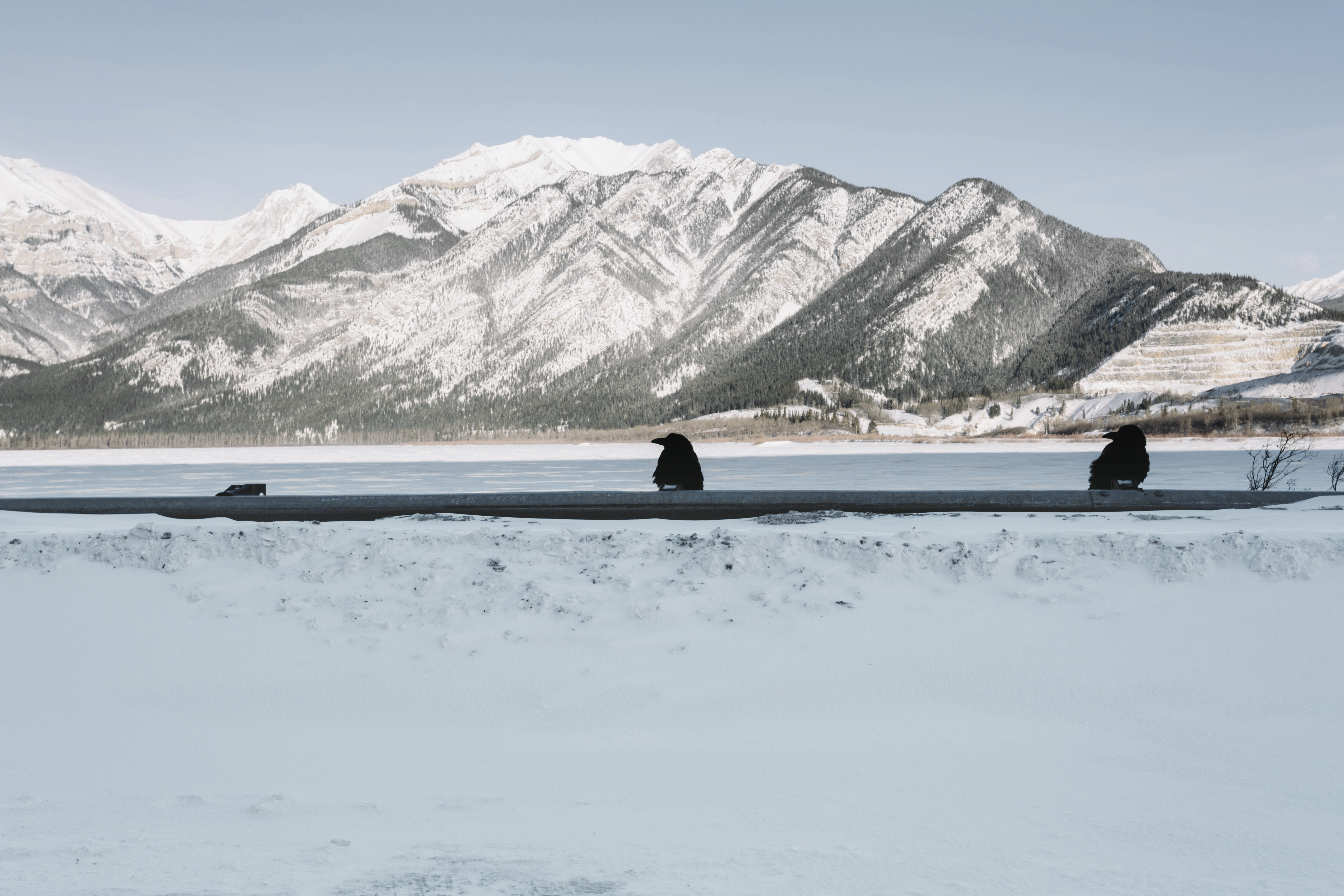 Возвращение домой