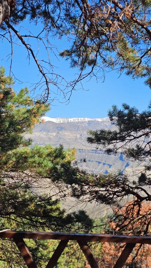 Аромат Индианы Джонса (49/180)