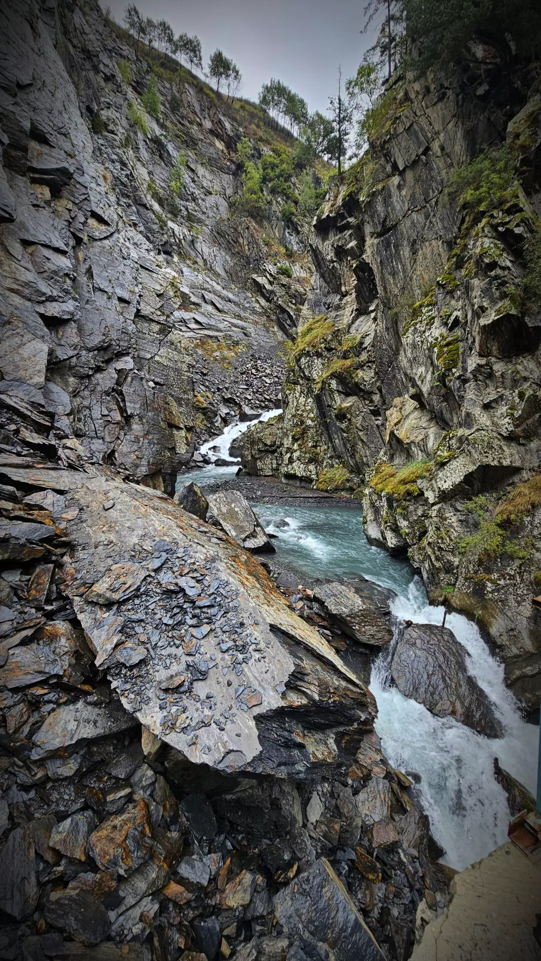 Аромат Индианы Джонса (39/180)