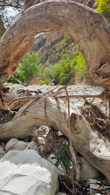 Аромат Индианы Джонса (41/180)