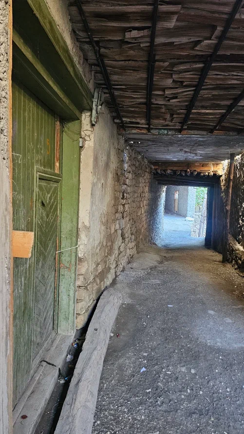 Аромат Индианы Джонса (121/180)