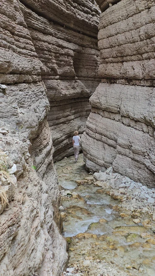 Аромат Индианы Джонса (42/180)