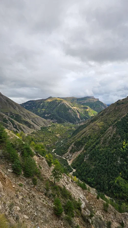 Аромат Индианы Джонса (113/180)