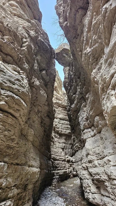 Аромат Индианы Джонса (44/180)