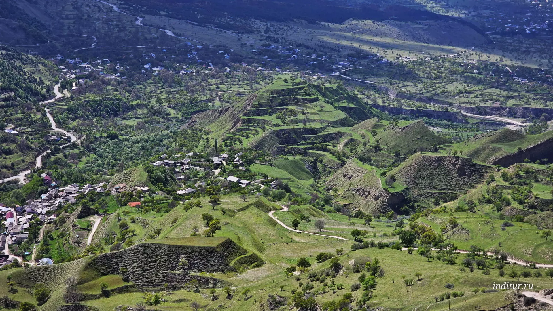 Аромат Индианы Джонса (81/180)