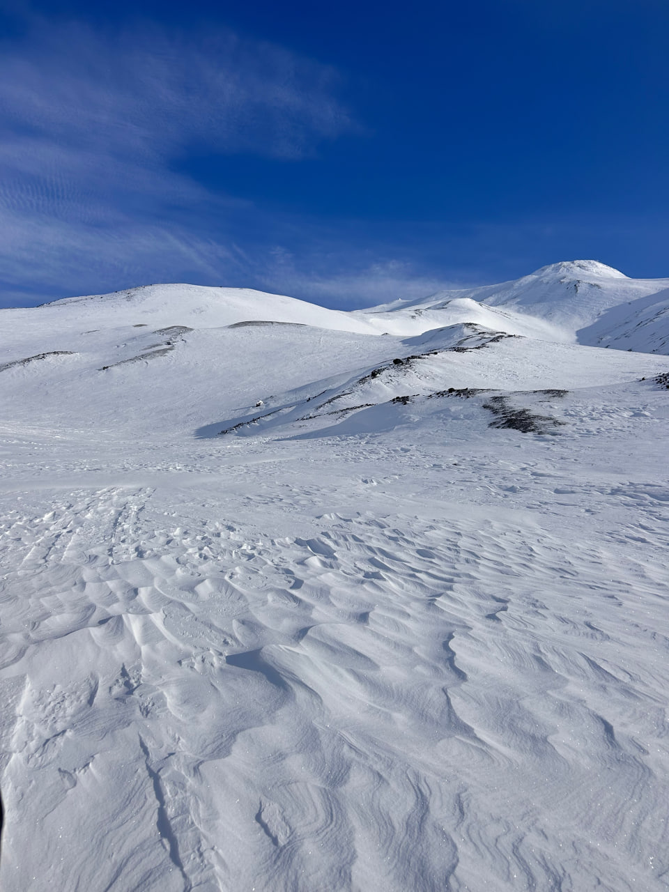 Обзорная экскурсия и Тихий океан