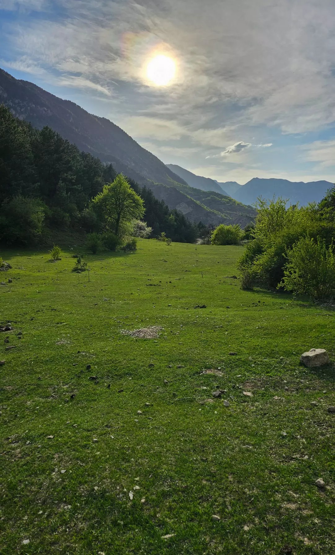 Аромат Индианы Джонса (93/180)